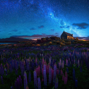 云朵上的棉花糖（古筝）