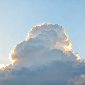 爱不到地老天荒