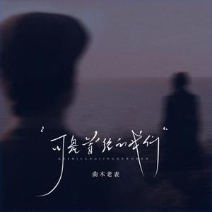 可是曾经的我们 (DJ阿尼版) (Remix)