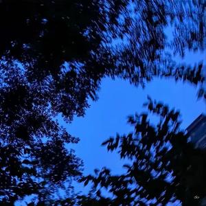 幻听（neo soul）