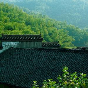 我爱你宜宾 (I Love Yibin）