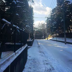 写给未来的明信片