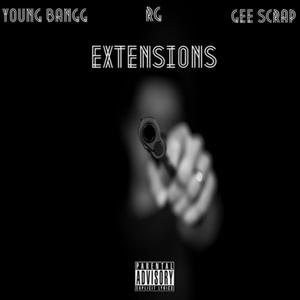 Extensions (feat. RG & Gee Scrap)