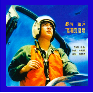 波涛上永远飞翔的海鹰