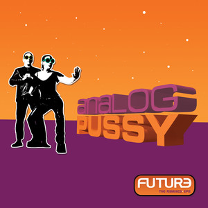 Future (Sharigrama Remix)