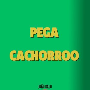 Pega Cachorroo