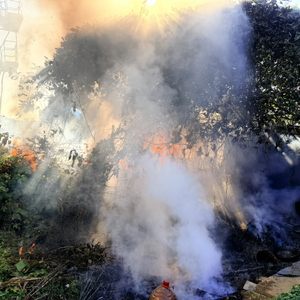 月光糖霜下的雨后彩虹.wav