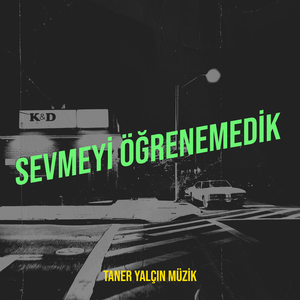 Sevmeyi Öğrenemedik
