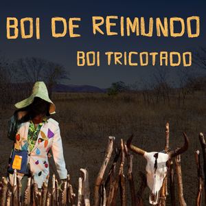 Boi de Reimundo