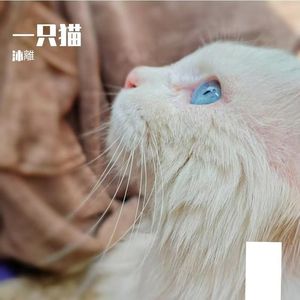 想做一只猫 demo