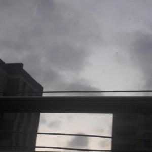 The Elysian Fields (Lo-Bit Version)