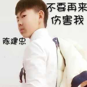 不要再来伤害我