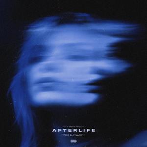 Afterlife