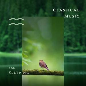 Mendelssohn: On Wings Of Song (Cello) [Ocean Surf、Seagulls]