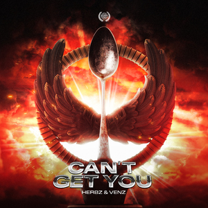Can't Get You