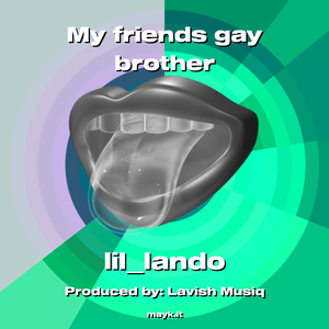 My friends gay brother