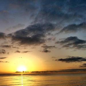 曾经我的心已经不存在