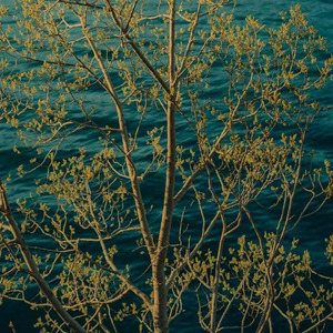 他在思念什么每日每夜(律动氛围版)