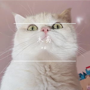 渊薮-花巷（渊薮 remix）