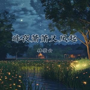 昨夜萧萧又风起