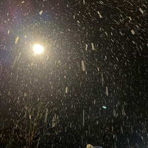 mp_ca3410a6ad3537a7ada966eb6007c616