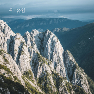 那年夏夜的月半