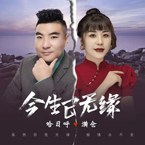 今生已无缘 (DJ何鹏版)