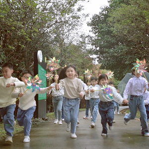 我最爱的豆豆龙