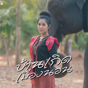 บ้านเกิดเมืองนอน