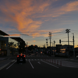 花の香りと雨の匂い