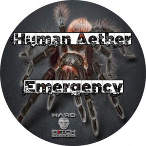 Devilfish (Alex Turner Remix)