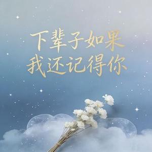下辈子如果我还记得你 (温柔男声版)