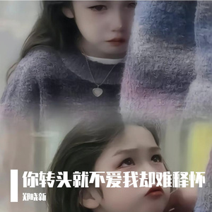 你转头就不爱我却难释怀