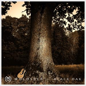 Black Oak