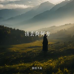 该去向何方
