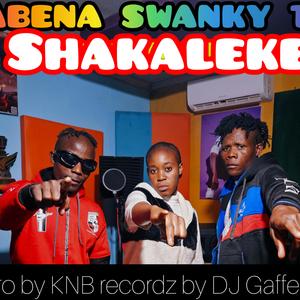 Shakaleke