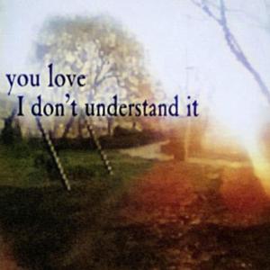 your love i dont understand it