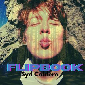 Flipbook (Live) (Live)