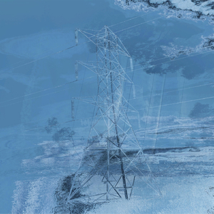 Tarantula (CD Player Edit)