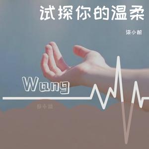 试探你的温柔