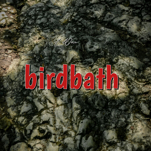 Birdbath