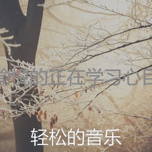 微妙的专注心情