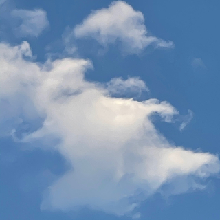 明天「会好的吧」