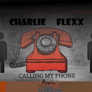 Calling My Phone (remix) (remix)
