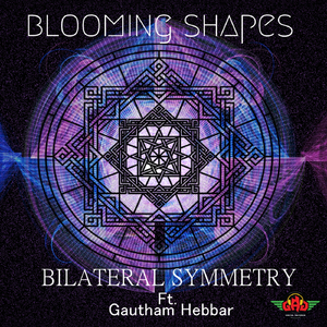 Bilateral Symmetry (Original Mix)