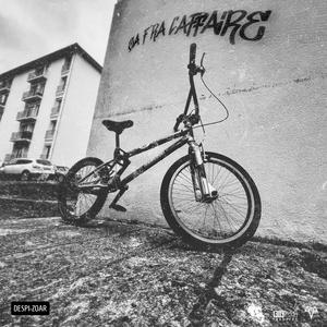 Ça f'ra l'affaire (feat. Despi)