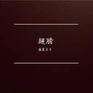 陪我追梦的翅膀