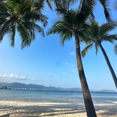 万绿丛中一点红