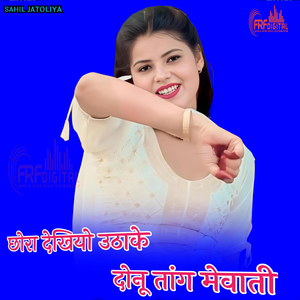 छोरा देखियो उठाके दोनू तांग मेवाती