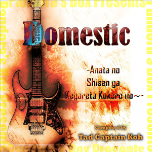 Domestic -Anatano Shisen ga Kegareta Kokoro no-